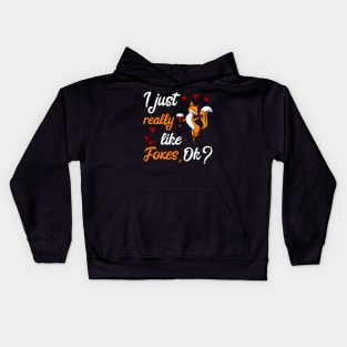 I Just Really Like Foxes Funny Fox Party Kids Hoodie